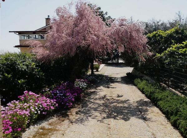 Casa Noemi, vista mare e lago