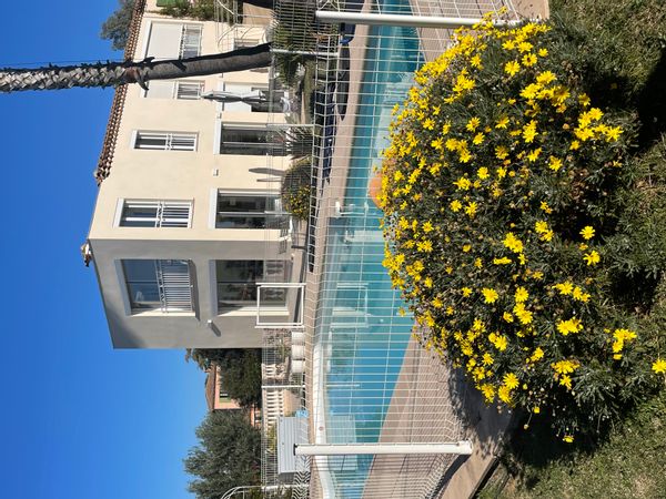Morgane's house