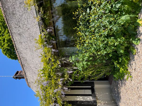 Mélanie's house