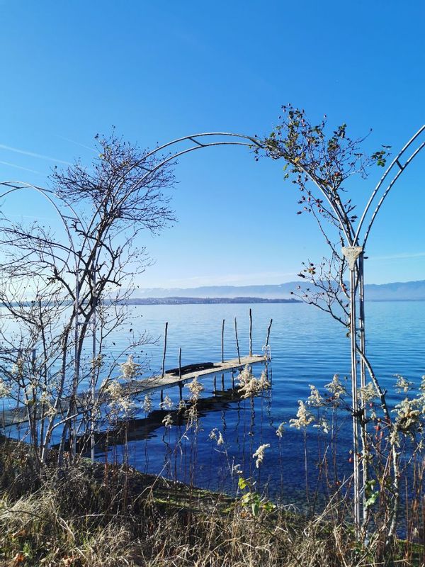 Casa serena in mezzo al lago Lemano e le Alpi. Ottima location
