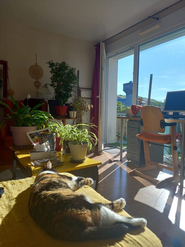 Isabelles hus