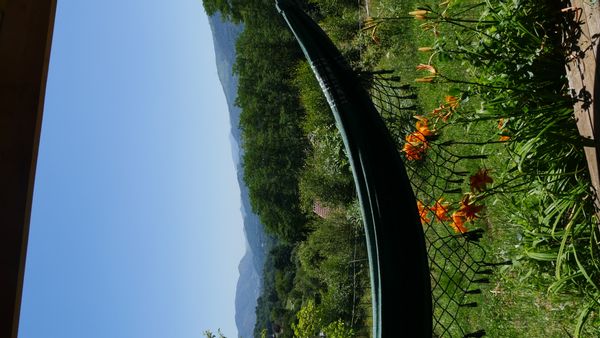 La maison de Elsa and Max