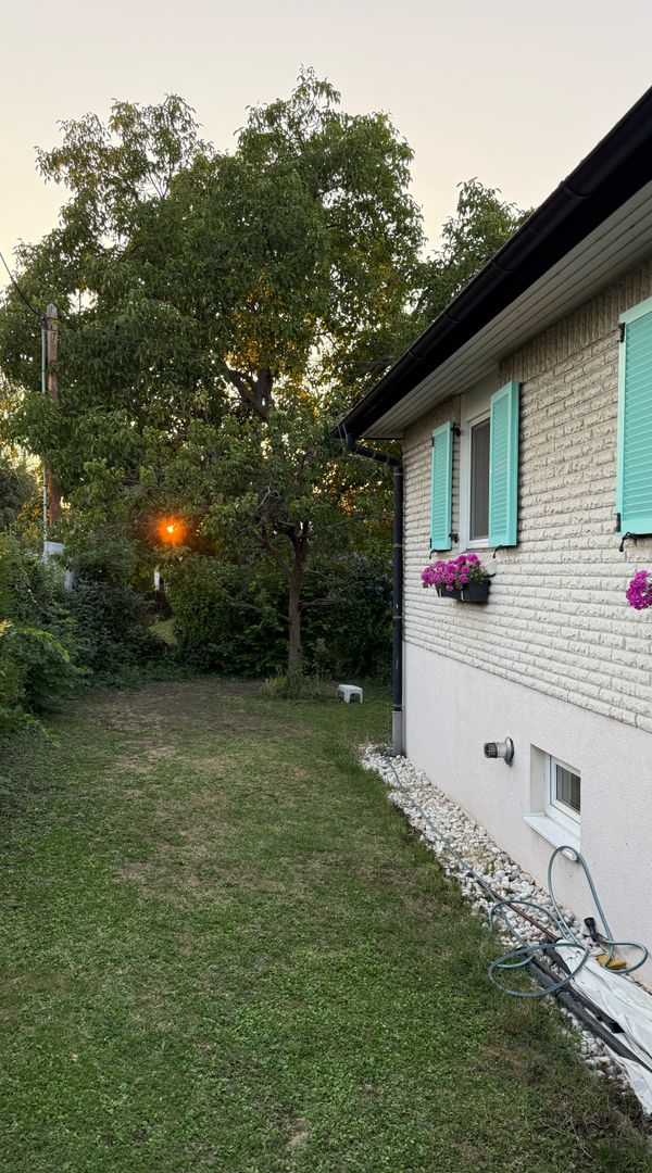 Cozy Souterrain Apartment with Garden