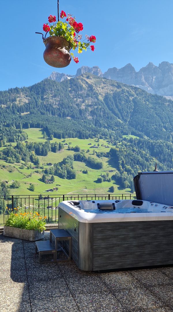 Chalet à la montagne avec SPA - séjour familial ou entre amis - Portes du Soleil (Valais - Suisse).