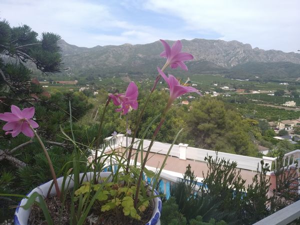 Casa di Vicent i Fina