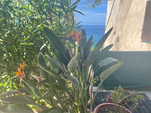 La maison de Assunta