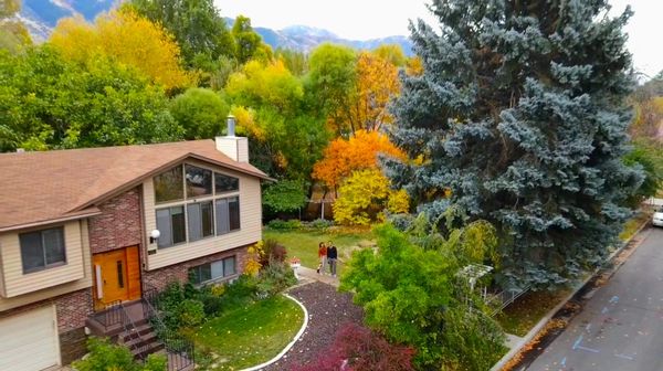 Afsane & Ehsanina kuća