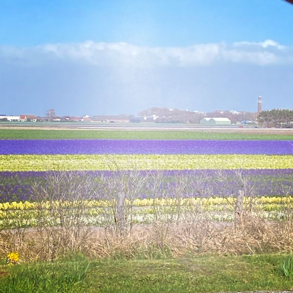 Casa em Noordwijk-Binnen