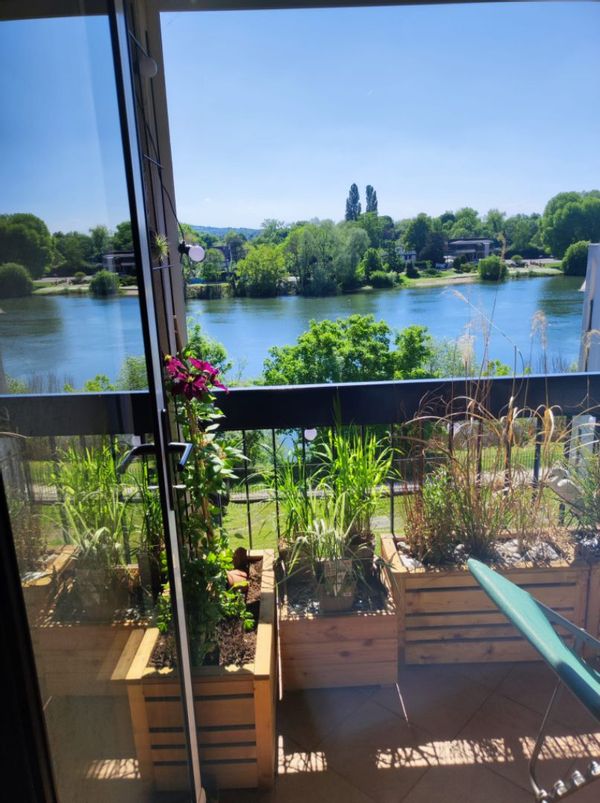 Une terrasse sur la Seine