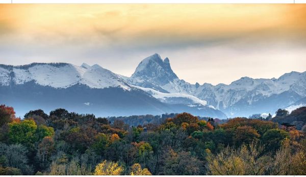 Chambre privée de Carole
