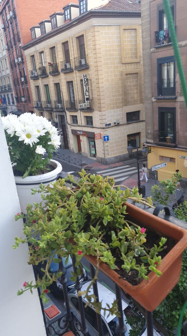 Casa estilo ecléctico.