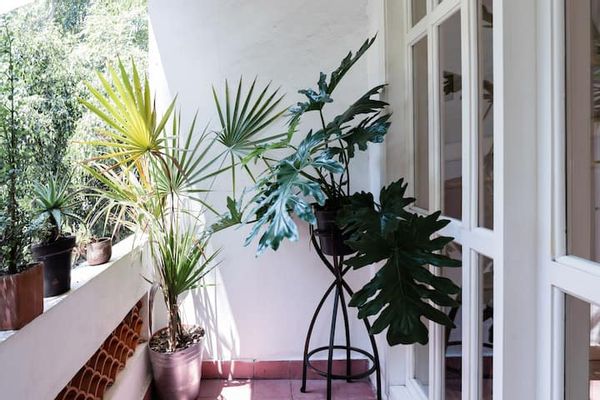 Explore Mexico City From a Stunning La Condesa Home