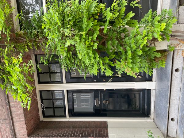 Modern and comfortable home in the centre of Rotterdam