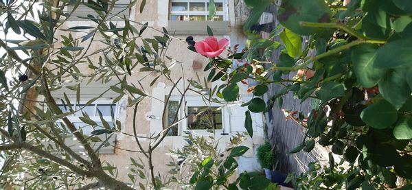 La maison de Lucie et Vincent