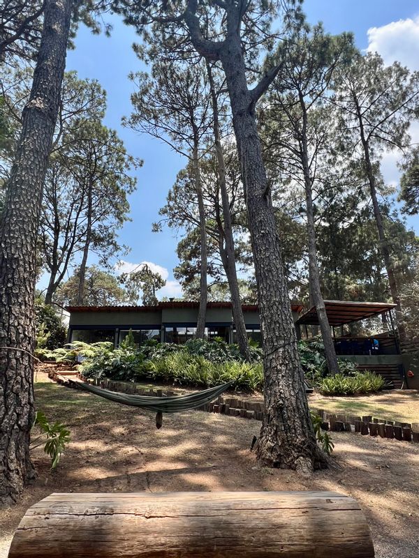 CASA AMELIA

A piece of forest at 5 minutes of the center of Avandao.