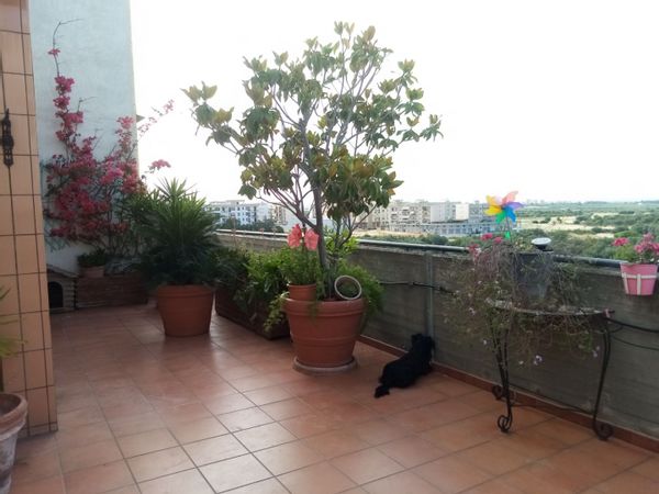 Attico vista mare a 3 km dalla costa del mare adriatico