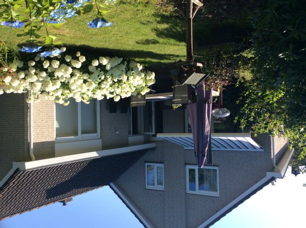 Casa di Frank and Diny