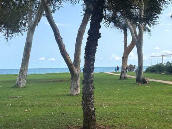 Casa di Borja y Sesi