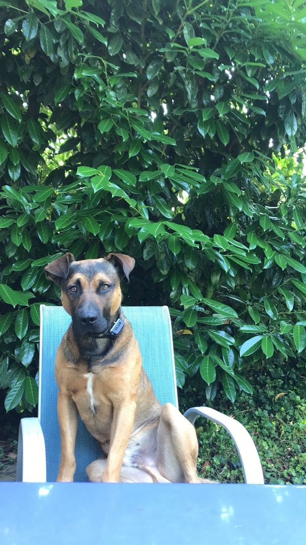 maison conviviale et joyeuse pour famille nombreuse et entre amies proche de magasin