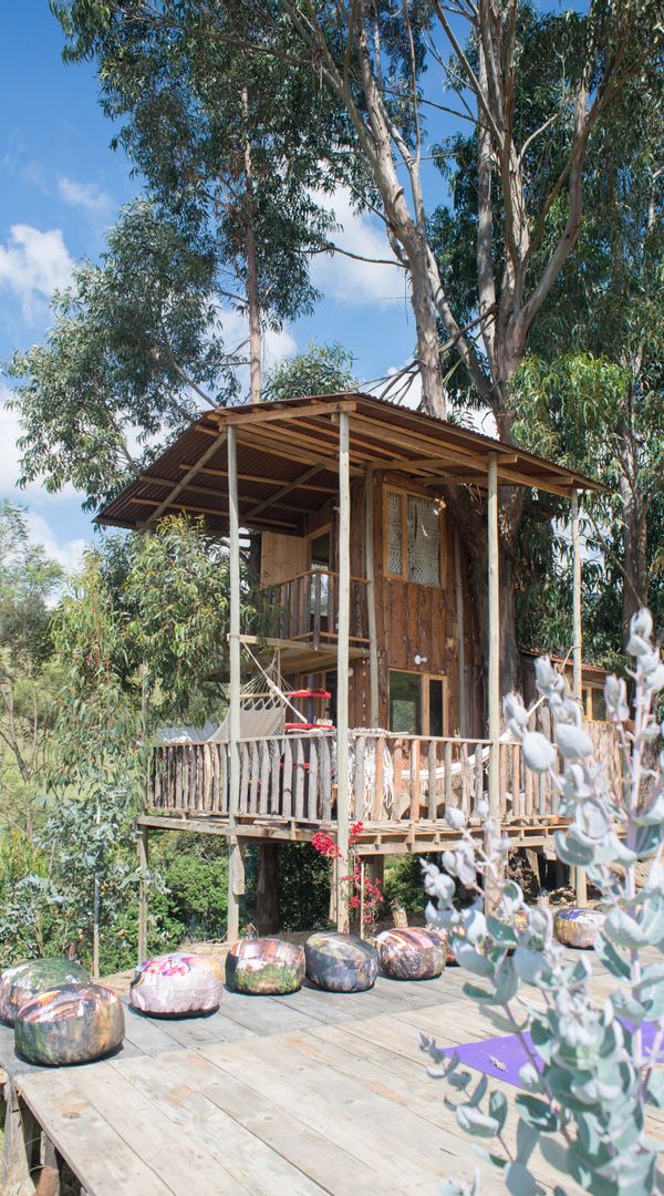 Blueberry Tree House