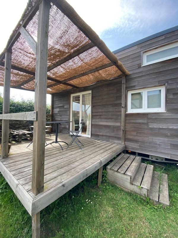 La petite mouette égarée