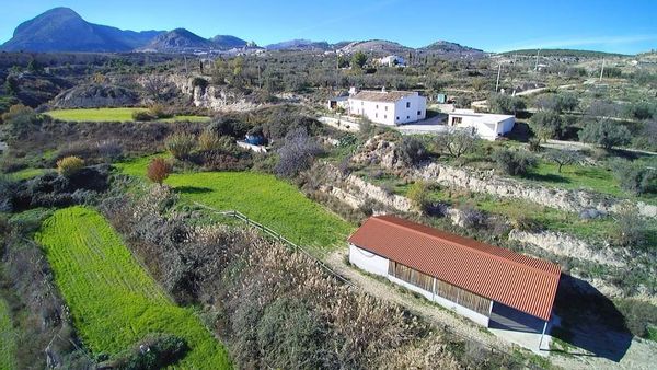 Cortijo ciprés