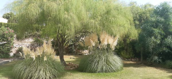 Beautiful, peaceful house in one of best parts of Costa Blanca - Javea