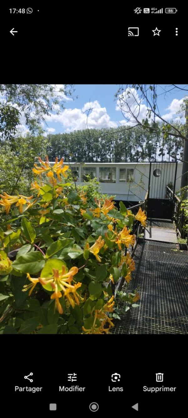 La maison de Clémentine
