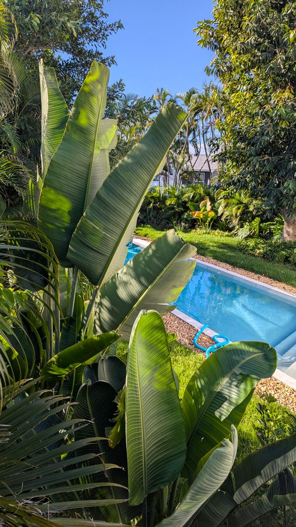 La maison de Iris & Blake