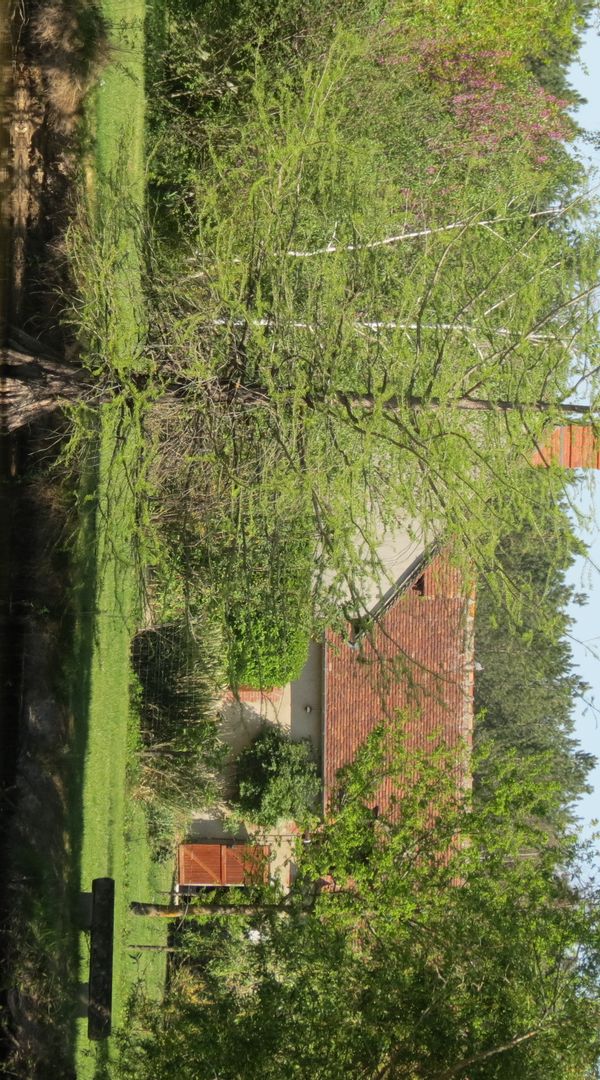 Maison solognote proche châteaux de la Loire et zoo de Beauval.