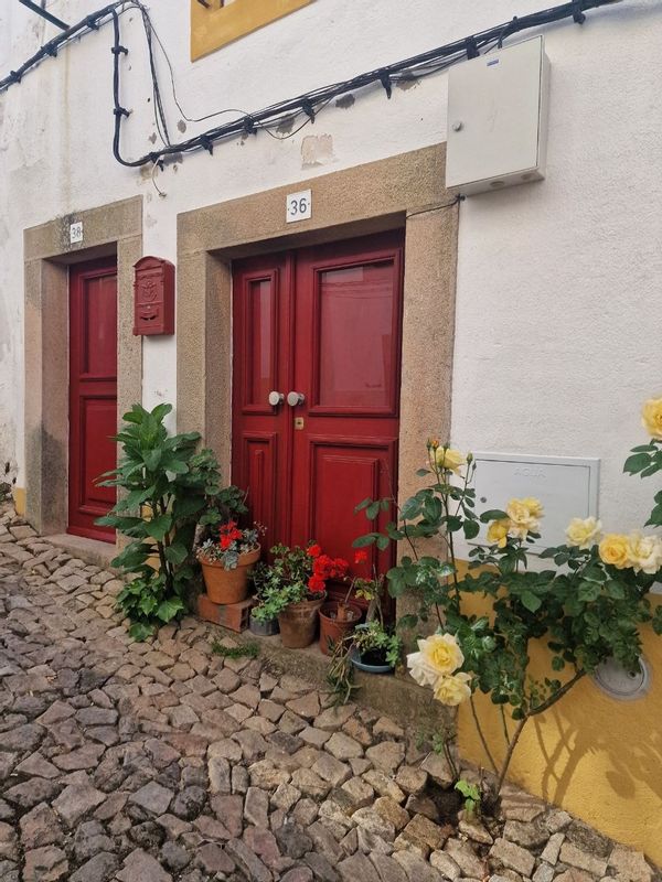 Tychos hus
