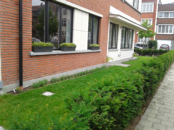 Rosannes hus