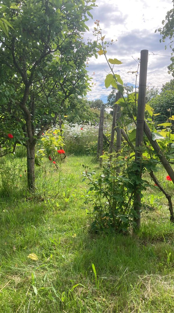 La maison de Lennart