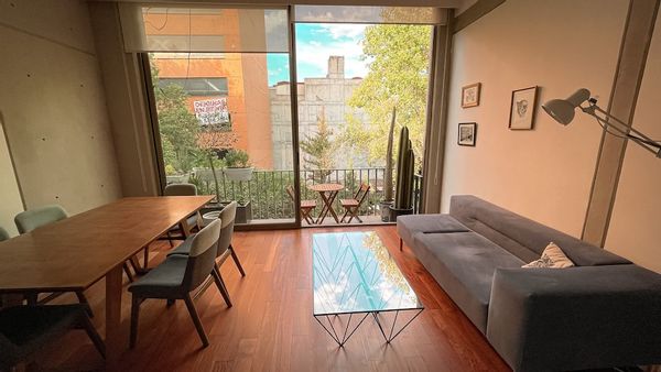 Beautiful and bright flat in one of the very rare pedestrian street of México.