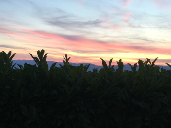 Maison mitoyenne au Mont-sur-Lausanne