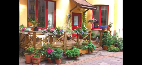 Casa de Jonas
