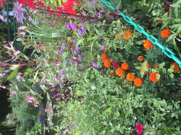 Maison de ville à Bondy dans une rue pavillonnaire proche de la gare RER et des commerces.