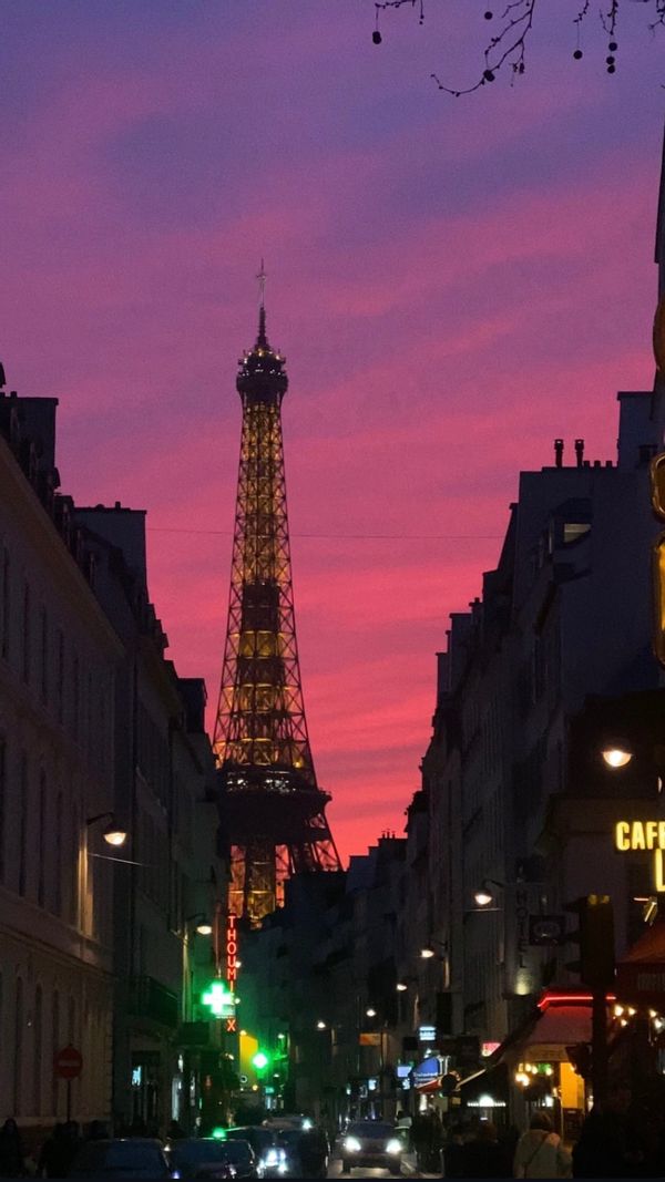 superbe appartement entre Invalides et tour eiffel