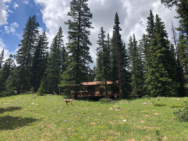 Rustic mountain cabin