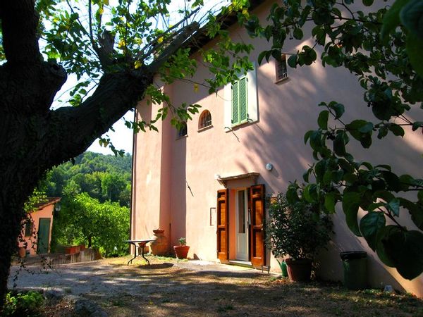 Manor House