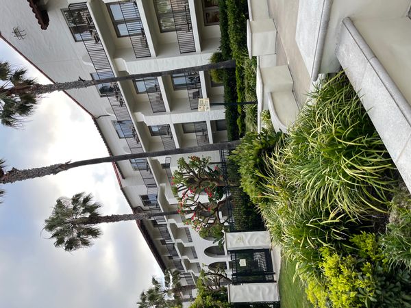 Gracelyn's house