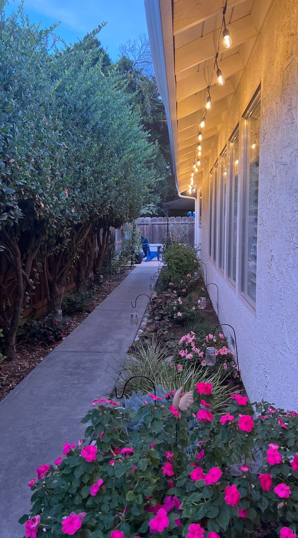 Jennifer's house