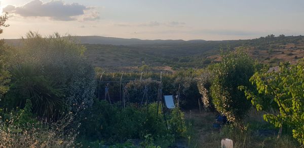 La suite parentale en bord de garrigue