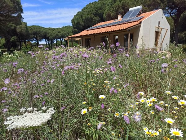 Home in Vejer de la Frontera