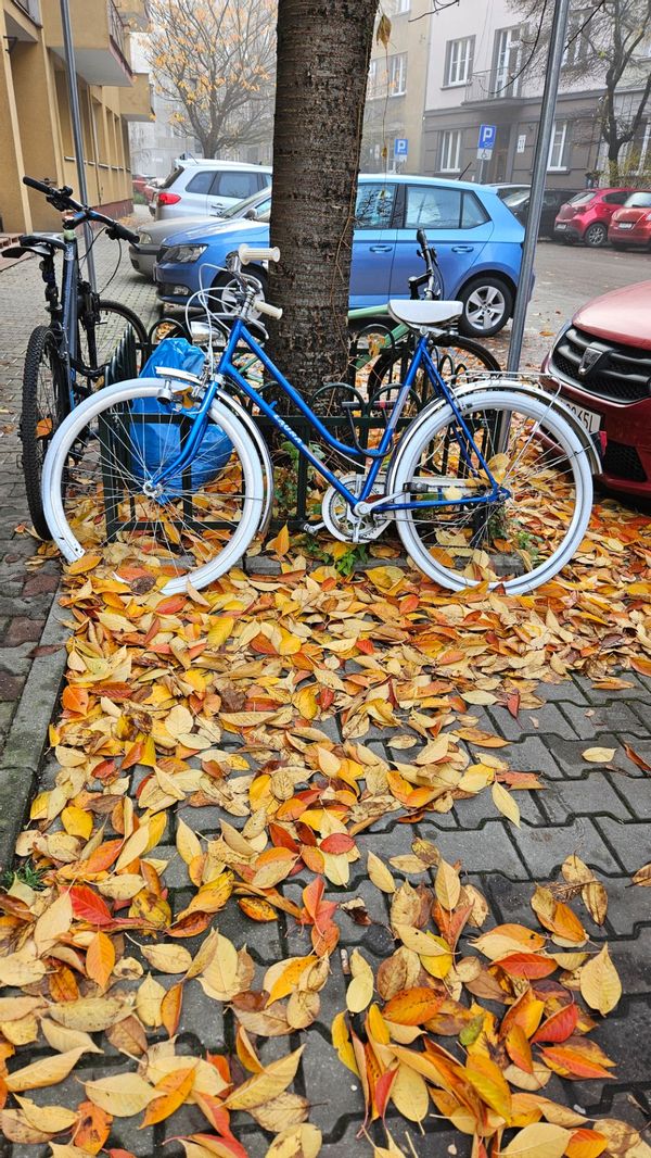 La maison de Sławek