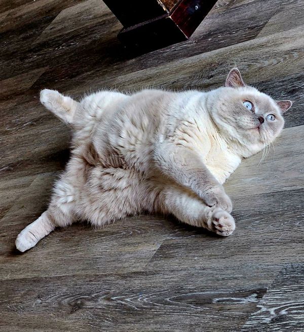 La maison de Sławek