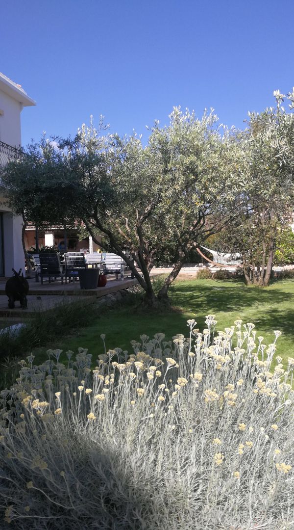 Maison de village avec piscine, Potager et un petit chien.