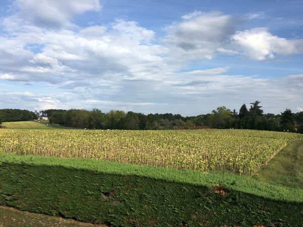 Chez Marielle à Barbotan les Thermes