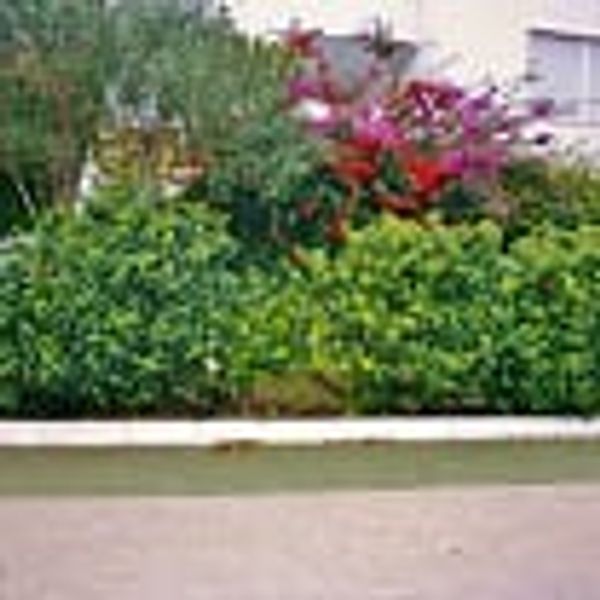 La maison de Christian Charles