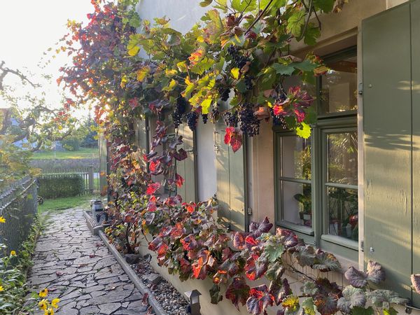 Jana & Holger's house